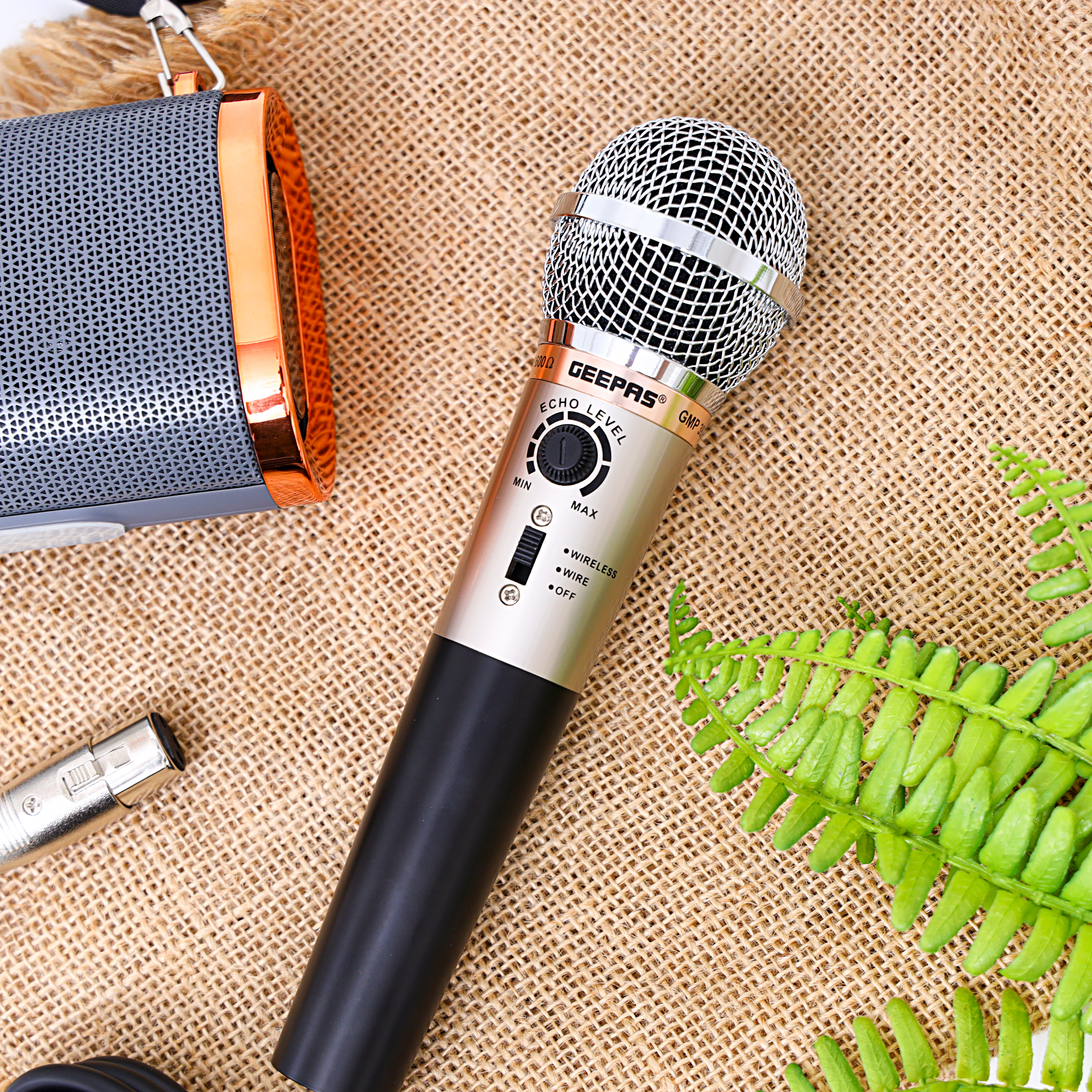 Buy Geepas 2 Function Echo Microphone Online in UAE Wigme