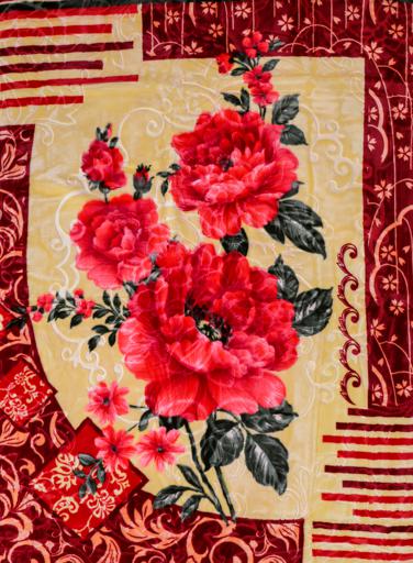display image 2 for product PARA JOHN Cool Floral Bordered Double 2 Ply Soft And Warm Embossed Blanket 200*240 Cm,Soft And Warm