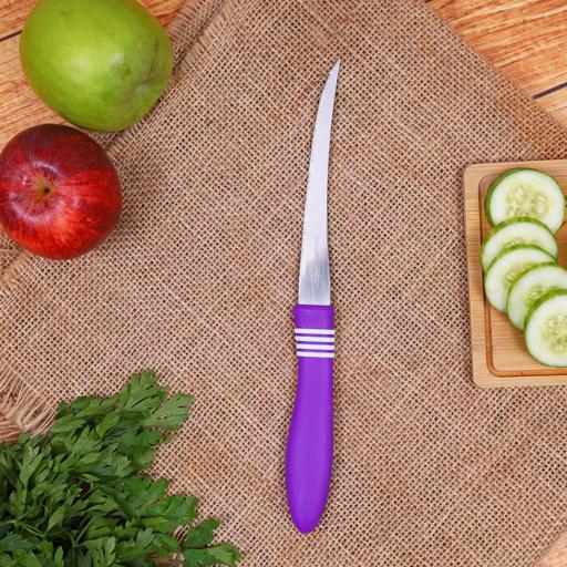 display image 3 for product Delcasa DC1837 2Pc Steak Knife Set - Stainless Steel Fruit Knife Set Razor Sharp Blades | Ultra Sharp Cooking Knives, Perfect for Carving & Chopping | Best Kitchen Gift for Cooking Lovers & 