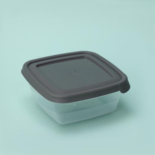 Royalford Food Storage Container With Compartments Rectangle