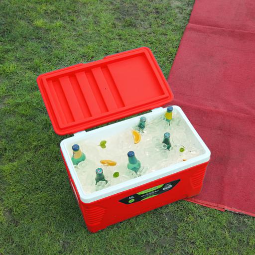 INSULATED ROBUST CONTAINER - 50L - Cool - The Insulated Box.Com