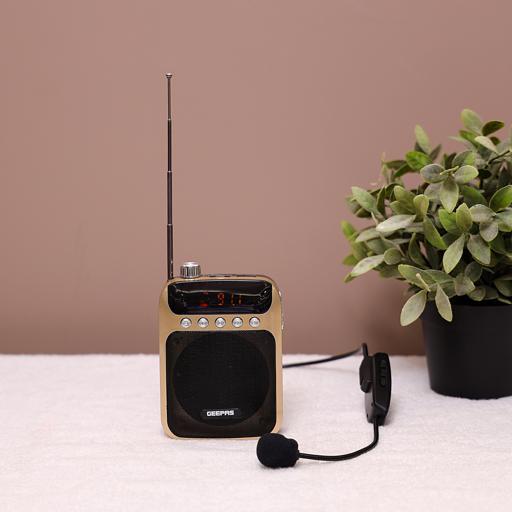 mini sound system with mic