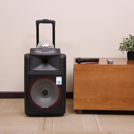 display image 3 for product Olsenmark Rechargeable Speaker -12 Inch With Usb, Sd Card, Fm, Mic, Bluetooth & Remote