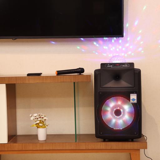 display image 4 for product Olsenmark Rechargeable Speaker -12 Inch With Usb, Sd Card, Fm, Mic, Bluetooth & Remote