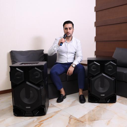 display image 3 for product Olsenmark High Power 2.0 Professional Speaker - Multimedia Speaker System With Subwoofer - Usb/Sd/Fm