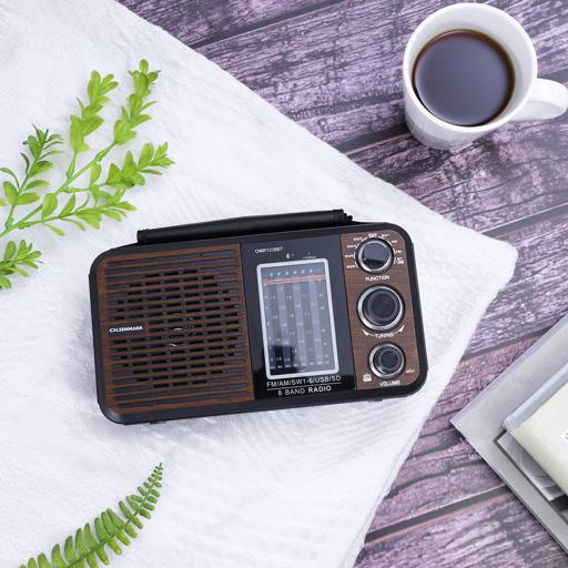 display image 4 for product Olsenmark Rechargeable Radio
