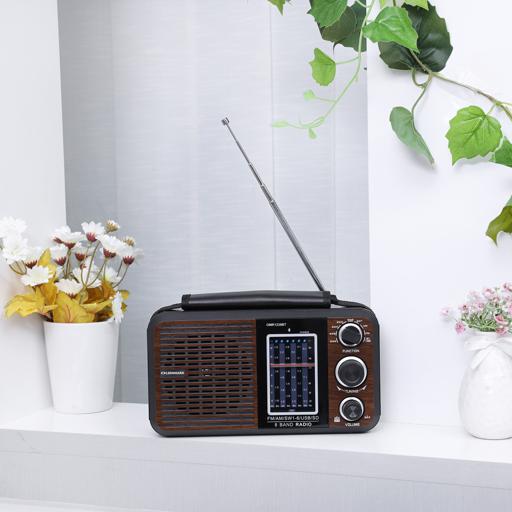 display image 3 for product Olsenmark Rechargeable Radio