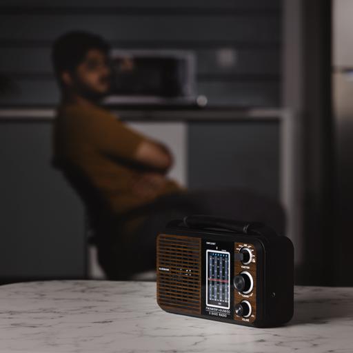 display image 4 for product Olsenmark OMR1239 Rechargeable Radio | BT/USB/SD /MP3 Music Player | Excellent Sound Quality, Bluetooth Speaker | Lightweight Portable FM Radio | 8 Band Radio with MP3/WMA Double Decoding 