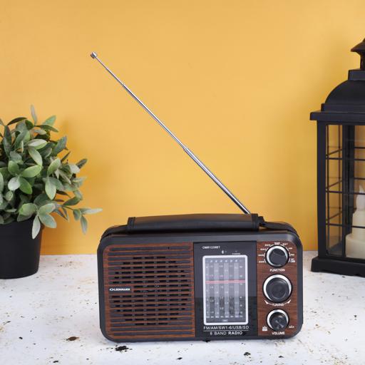 display image 2 for product Olsenmark Rechargeable Radio