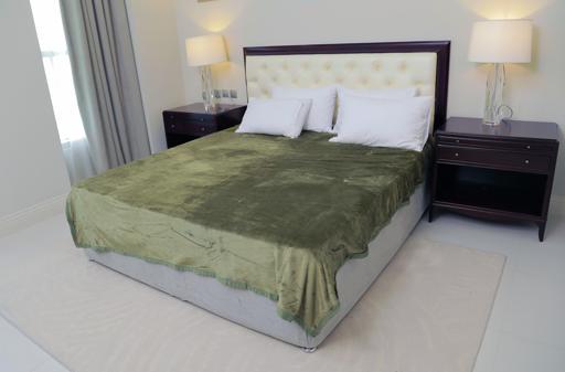 display image 0 for product PARA JOHN Casa Silky Green Soft Flannel Fleece Blanket 160X220