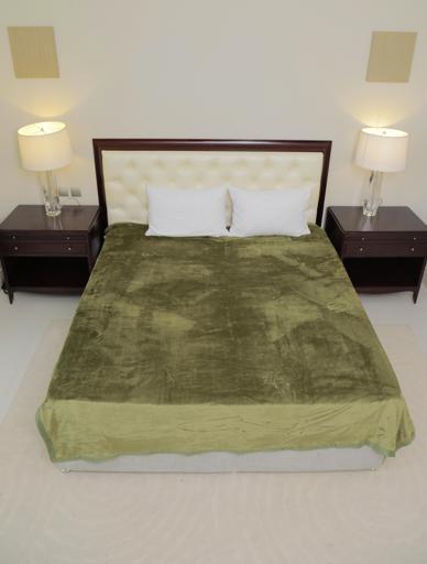 display image 2 for product PARA JOHN Casa Silky Green Soft Flannel Fleece Blanket 160X220