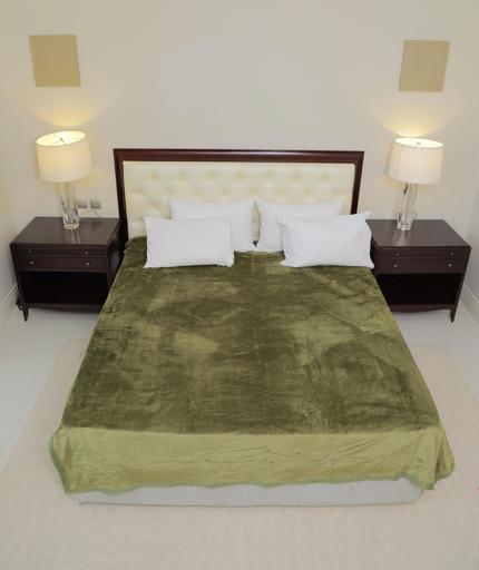 display image 3 for product PARA JOHN Casa Silky Green Soft Flannel Fleece Blanket 160X220