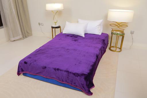 display image 0 for product PARA JOHN Casa Silky Purple Soft Flannel Fleece Blanket 160X220