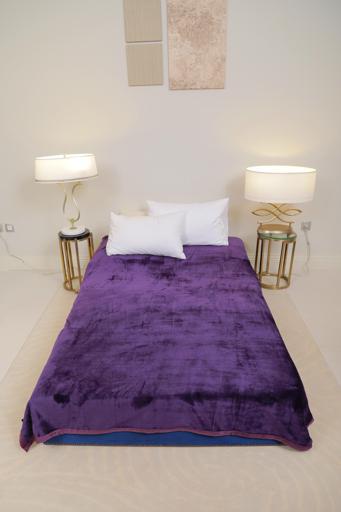 display image 1 for product PARA JOHN Casa Silky Purple Soft Flannel Fleece Blanket 160X220