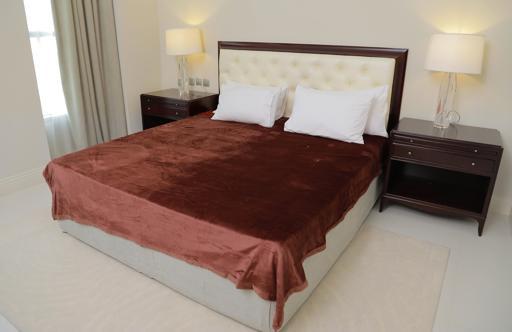 display image 0 for product PARA JOHN Casa Silky Cinnamon Brown Soft Flannel Fleece Blanket 160X220