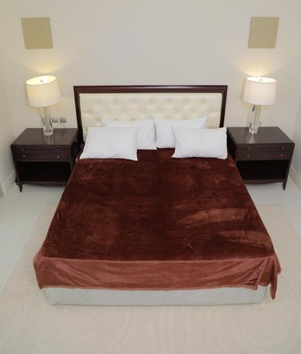 display image 2 for product PARA JOHN Casa Silky Cinnamon Brown Soft Flannel Fleece Blanket 160X220
