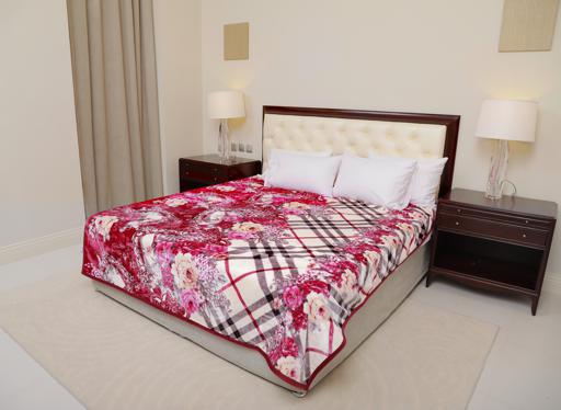 display image 4 for product PARA JOHN 2 Ply Dual Super Soft Luxury Cloud Blanket 200X240