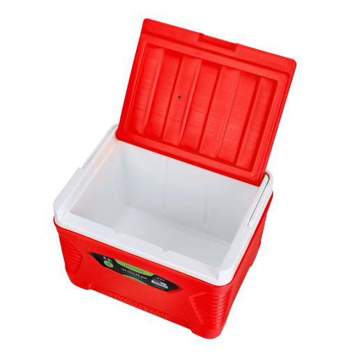 Tabletop best sale ice cooler