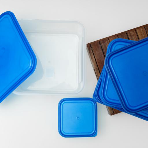 5PCS Square Plastic Portion Box Sets with Lids.Food Storage Box