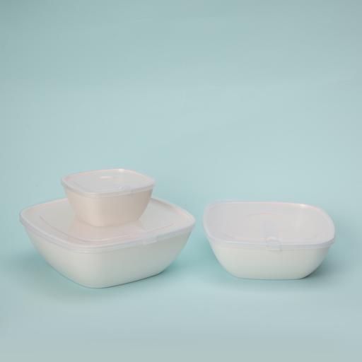 3pcs Bowl Set with Air-Tight Lid, Food Container, RF11008, Classic Prep  Bowls with Lids, Food Storage Container