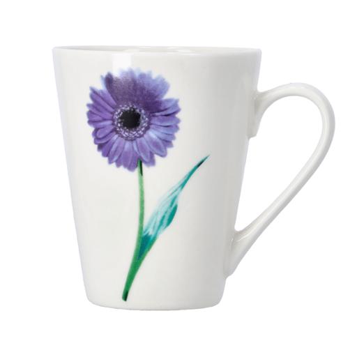 210ML 3Pc-Glass Mug With handle