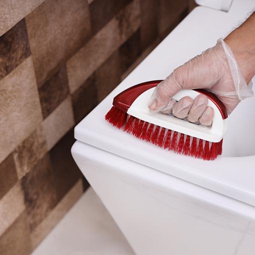 display image 1 for product Royalford Multicolored Plastic Cleaning Brush