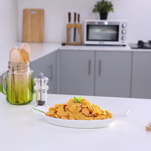 Buy Royalford Porcelain Ware Fish Shape Plate Portable Lightweight