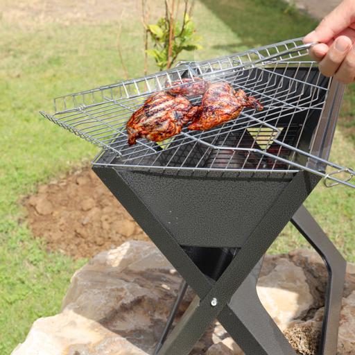 grilling companion