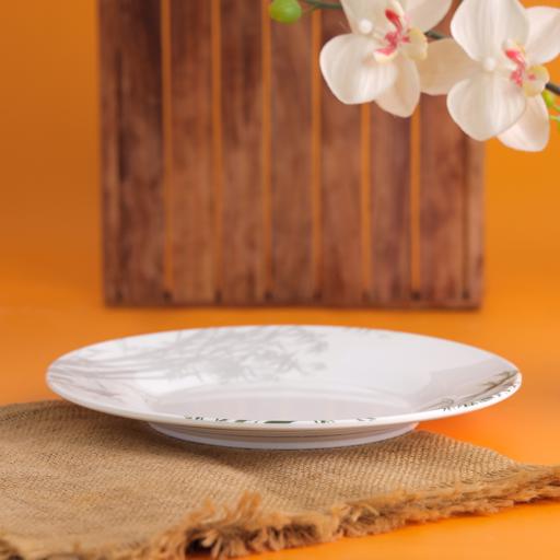 display image 2 for product M/W 10"Dinner Plate 1X36